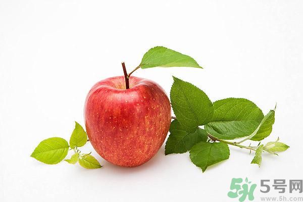 晚上9點以后可以吃蘋果嗎？晚上吃蘋果好不好？