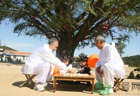 多運(yùn)動(dòng)可以長壽嗎？長壽的秘訣是什么？