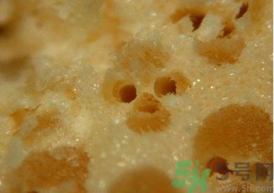 經(jīng)常用一次性筷子可以嗎？一次性筷子有病毒嗎？