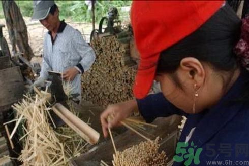 經(jīng)常用一次性筷子可以嗎？一次性筷子有病毒嗎？