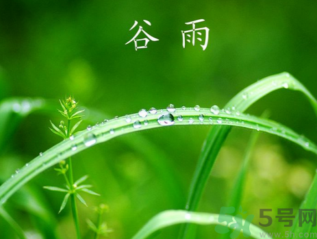 谷雨是什么意思?谷雨節(jié)氣有什么含義? 谷雨是什么意思?谷雨節(jié)氣有什么含義?