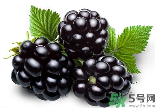 膽囊炎能吃桑葚嗎？膽囊炎吃桑葚好嗎？