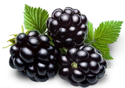 膽囊炎能吃桑葚嗎？膽囊炎吃桑葚好嗎？