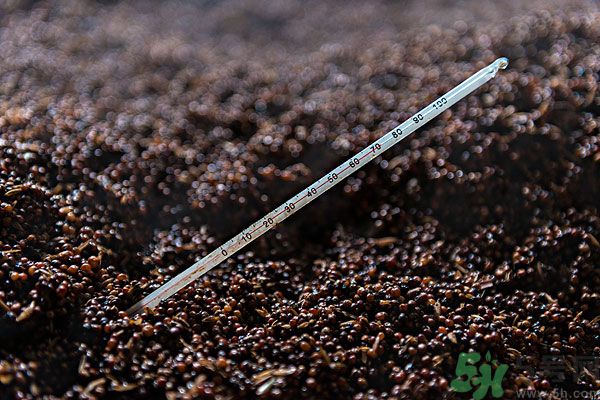 嬰兒測溫湯匙怎么樣？嬰兒測溫湯匙好用嗎？