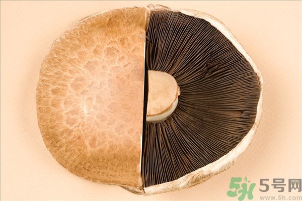 菇類的營(yíng)養(yǎng)價(jià)值有哪些？怎樣挑選優(yōu)質(zhì)的菇類？