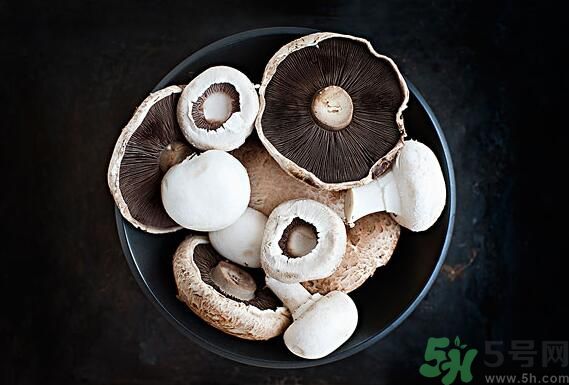菇類的營(yíng)養(yǎng)價(jià)值有哪些？怎樣挑選優(yōu)質(zhì)的菇類？