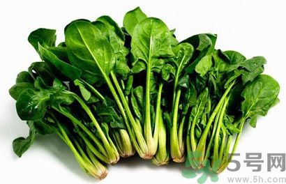 菠菜可以炒韭菜嗎？菠菜和韭菜一起吃怎么樣？