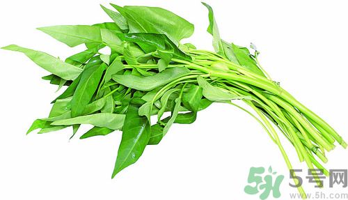 空心菜和雞能一起吃嗎？空心菜怎么吃有營養(yǎng)？