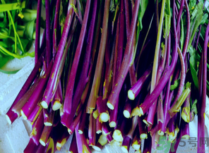 1461288055184854.png Image 002.png