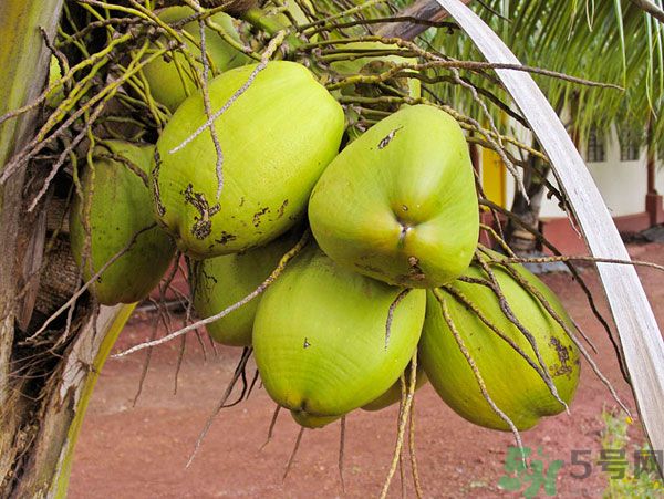 1461293555160578.jpg t77-599276.jpg