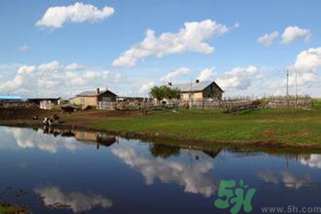 呼倫貝爾河為什么被污染？喝了呼倫貝爾河污染的水會(huì)怎么樣？