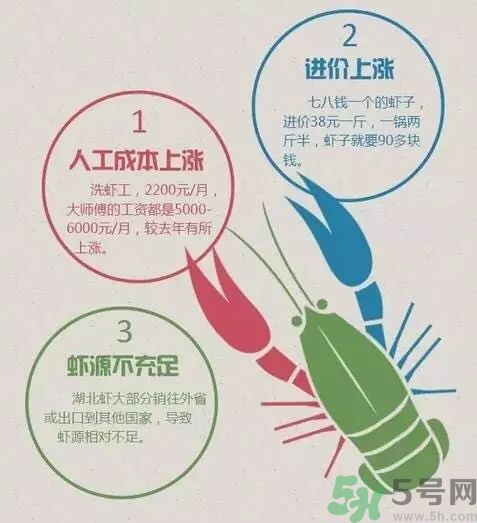 小龍蝦多少錢一斤？吃小龍蝦要注意些什么？