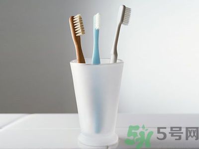 牙齦出血要換牙刷嗎？牙刷多久換一次好？