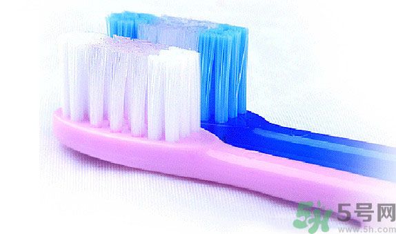 牙齦出血要換牙刷嗎？牙刷多久換一次好？