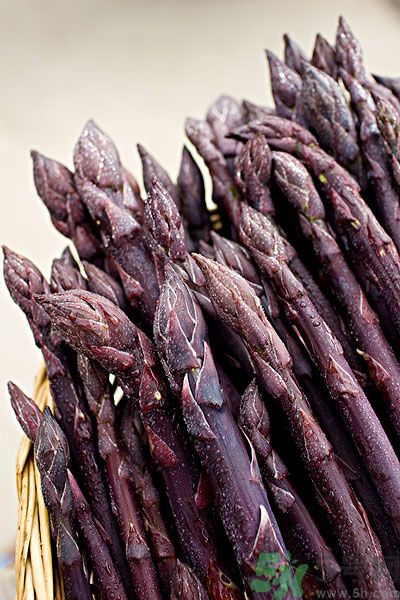 紫蘆筍是轉(zhuǎn)基因嗎？紫蘆筍和綠蘆筍哪個(gè)好？
