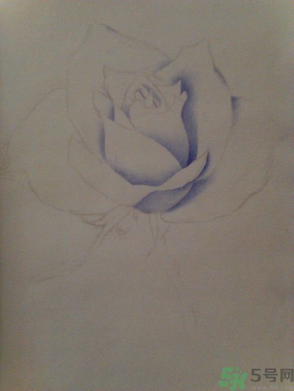 16歲少年圓珠筆畫出大作 圓珠筆畫入門怎么學(xué)？