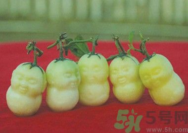 人參果怎么吃？人參果的營(yíng)養(yǎng)價(jià)值有哪些？