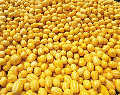 拉肚子能吃香瓜嗎？拉肚子吃香瓜好嗎？