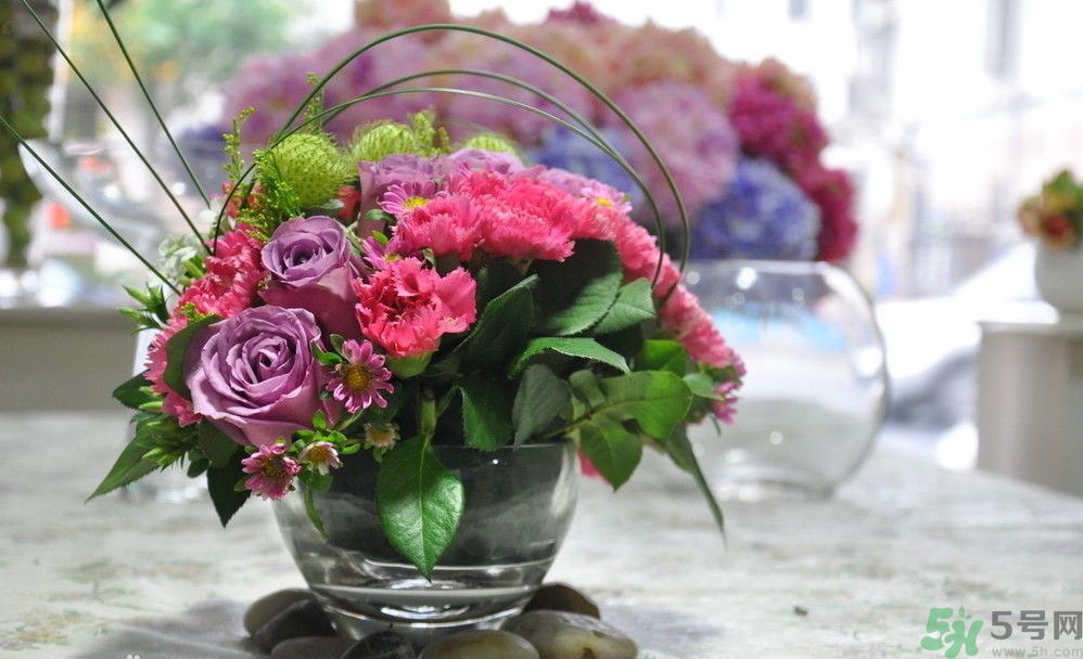 母親節(jié)送什么顏色的康乃馨？母親節(jié)應(yīng)該買(mǎi)什么顏色的康乃馨？