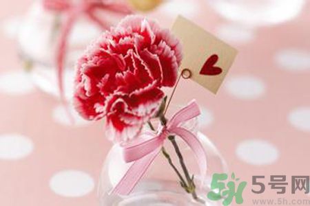 母親節(jié)送什么顏色的康乃馨？母親節(jié)應(yīng)該買(mǎi)什么顏色的康乃馨？