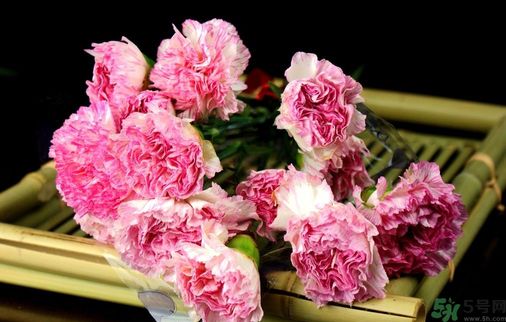 母親節(jié)送什么花好？母親節(jié)應(yīng)該送什么鮮花？