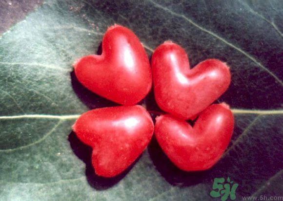 杈杷果好吃嗎？杈杷果的營(yíng)養(yǎng)價(jià)值與功效