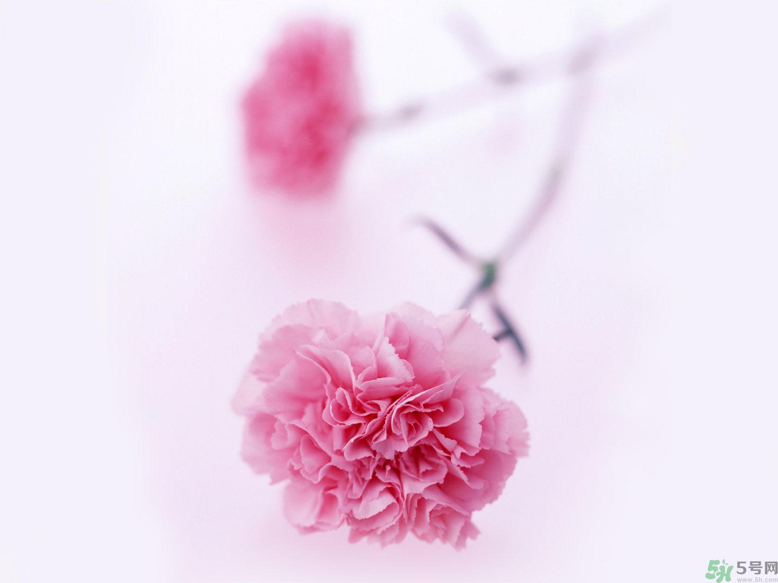 母親節(jié)送什么禮物給婆婆？母親節(jié)送什么禮物給婆婆好？