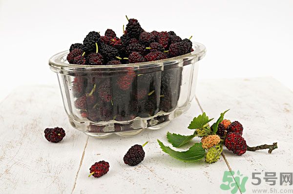 桑葚泡酒男人可以喝嗎？桑葚泡酒男人喝好不好？