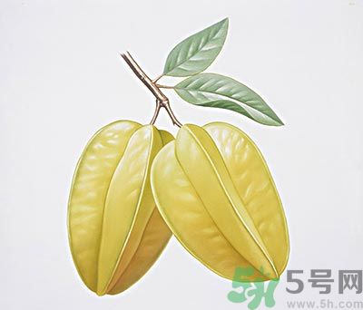 楊桃和什么不能一起吃？楊桃不能與什么同食？