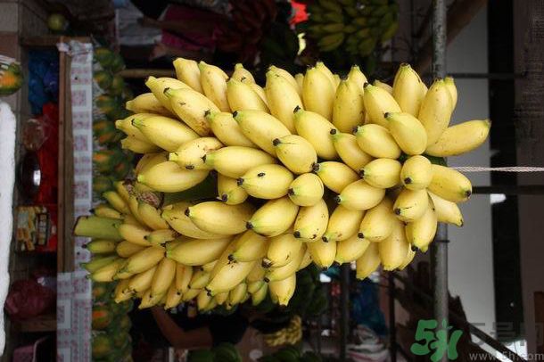 孕婦可以吃牛奶蕉嗎？孕婦吃牛奶蕉好嗎？