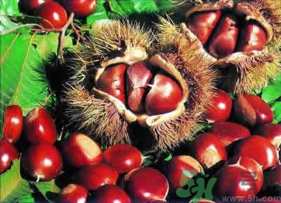 板栗是酸性還是堿性？板栗是酸性的嗎？