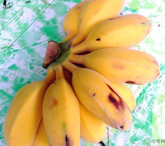 什么是牛奶蕉？牛奶蕉好吃嗎？