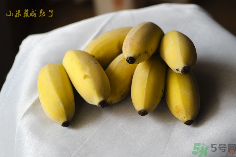 牛奶蕉可以和蘋果一起吃嗎？牛奶蕉和蘋果一起吃好嗎？