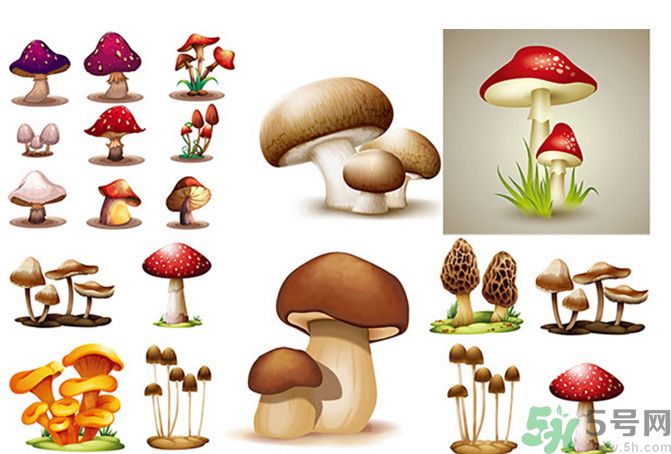 吃蘑菇可以喝酒嗎？吃蘑菇喝酒會(huì)中毒嗎？