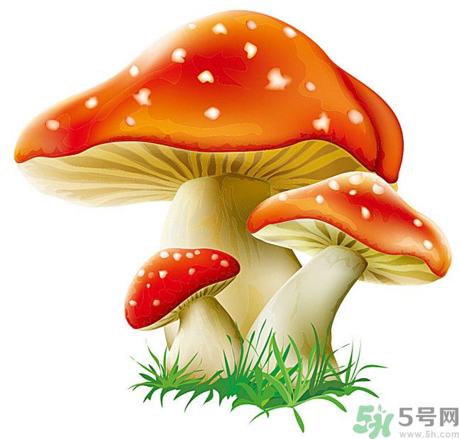 吃蘑菇可以喝酒嗎？吃蘑菇喝酒會(huì)中毒嗎？