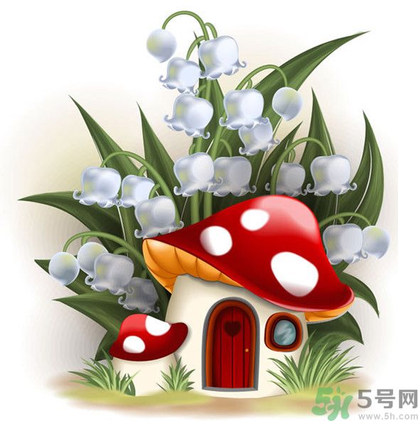 吃蘑菇可以喝酒嗎？吃蘑菇喝酒會(huì)中毒嗎？