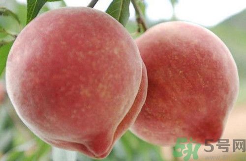 為什么會(huì)對(duì)桃子過敏?桃子過敏癥是什么