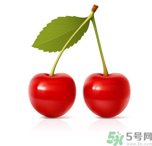 櫻桃是溫性的還是熱性的？櫻桃是溫性的嗎？