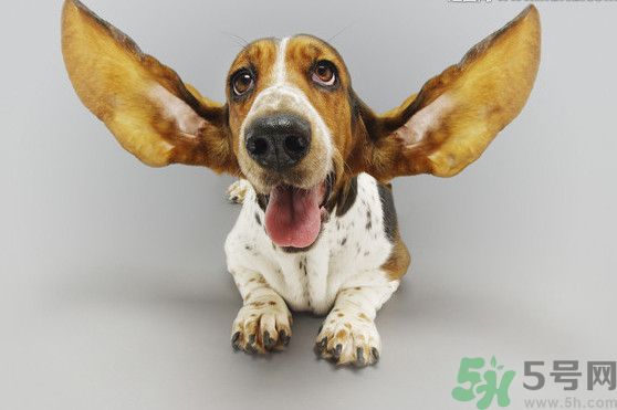 耳石脫落導(dǎo)致的眩暈怎么辦？耳石癥暈眩能自愈嗎？