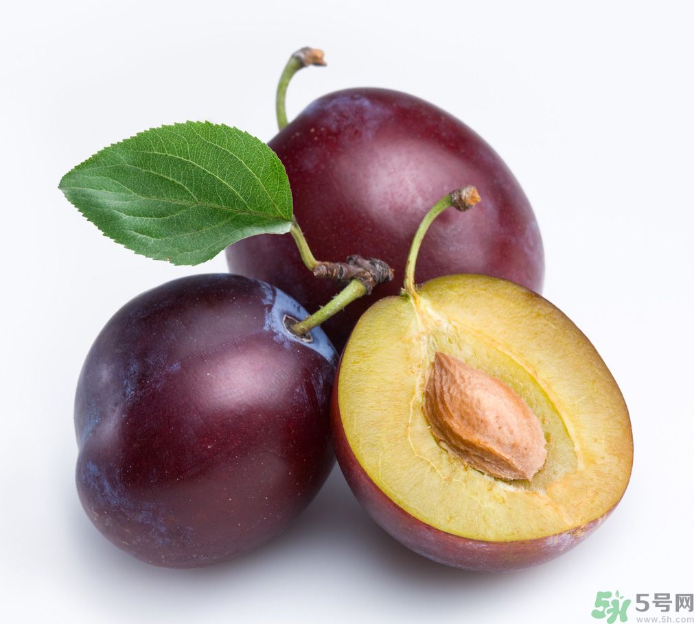 李子是發(fā)物嗎？李子是不是發(fā)物？