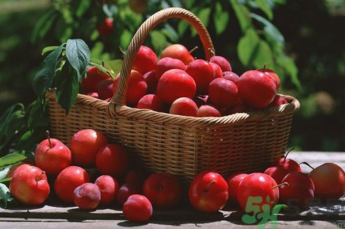 李子是酸性還是堿性？李子是酸性嗎？