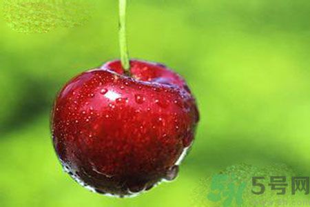 月經(jīng)期間可以吃李子嗎？月經(jīng)期間吃李子好嗎？