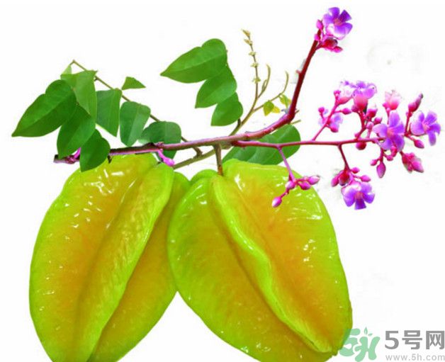 慢性腎炎可以吃楊桃嗎？慢性腎炎吃楊桃好嗎？