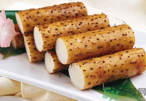 山藥是熱性還是涼性的？山藥是熱性的嗎？