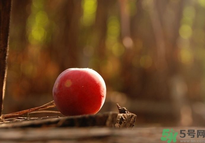 高血壓可以吃李子嗎？高血壓吃李子好嗎？