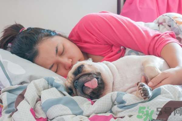 和寵物一起睡覺(jué)要注意什么？寵物睡姿有什么含義？