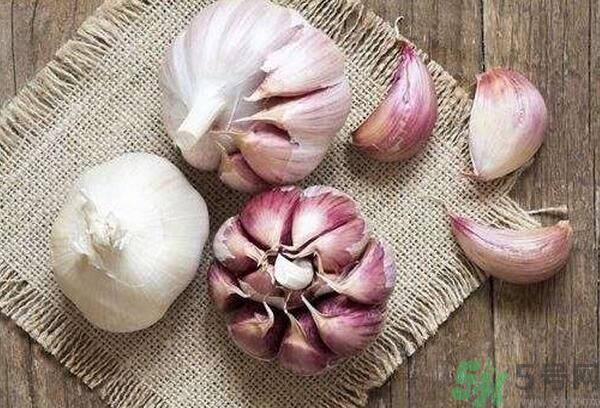 提高記憶力要吃什么食物？吃什么食物提高記憶力？