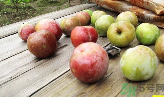 李子可以美容嗎？李子怎么吃可以美容？