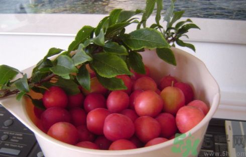 李子可以美容嗎？李子怎么吃可以美容？