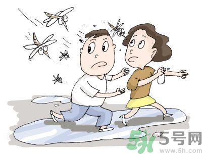 被蚊子咬很癢怎么辦？被蚊子咬要怎么止癢？